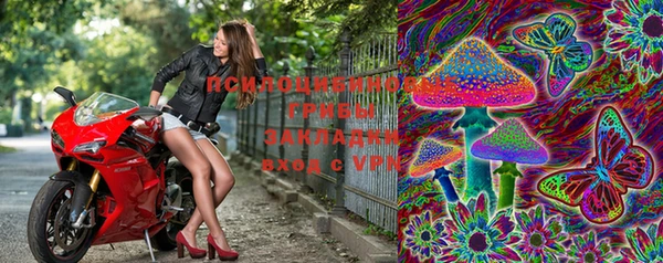 дурь Абинск