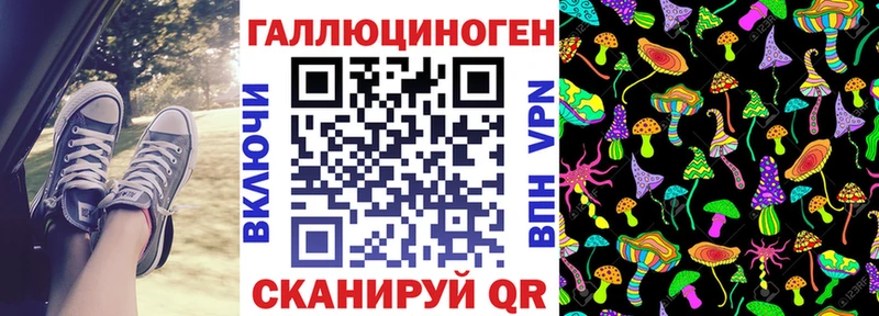 Псилоцибиновые грибы Cubensis  Цоци-Юрт 